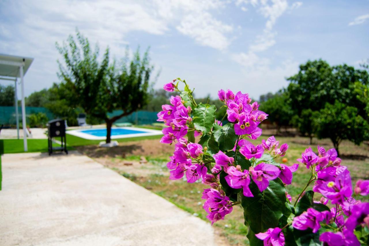 Villa La Casa Del Carreron à Montilla Extérieur photo