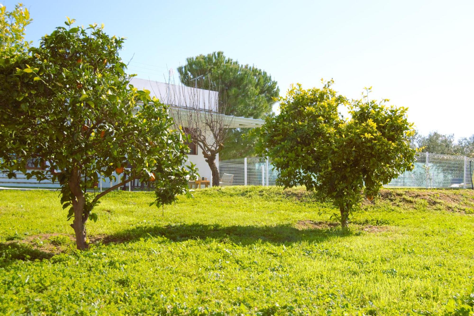 Villa La Casa Del Carreron à Montilla Extérieur photo
